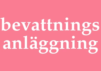 Synonym bevattningsanläggning