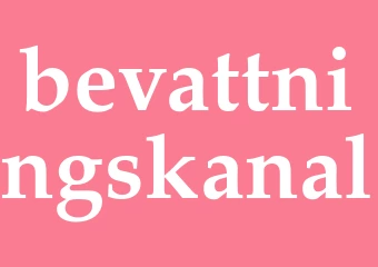 Synonym bevattningskanal