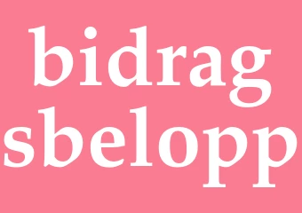 Synonym bidragsbelopp