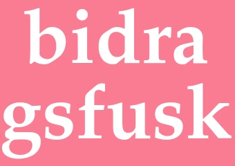 Synonym bidragsfusk