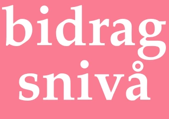Synonym bidragsnivå