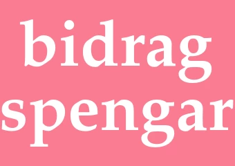 Synonym bidragspengar