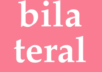 Synonym bilateral