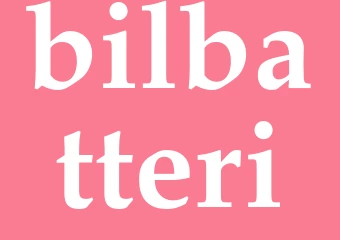 Synonym bilbatteri