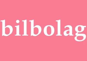 Synonym bilbolag