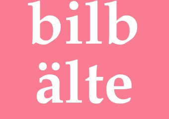 Synonym bilbälte