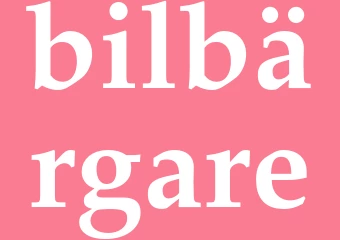Synonym bilbärgare