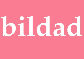 Synonym bildad
