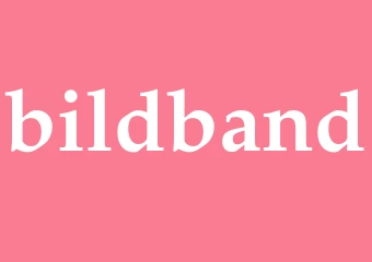Synonym bildband