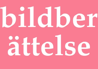 Synonym bildberättelse