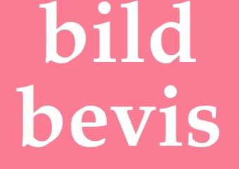 Synonym bildbevis