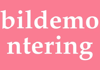 Synonym bildemontering