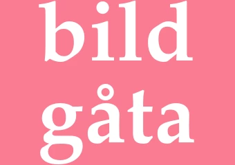 Synonym bildgåta