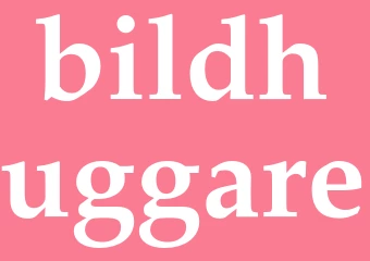 Synonym bildhuggare