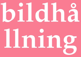 Synonym bildhållning