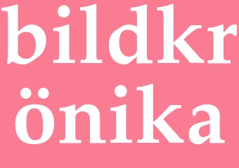 Synonym bildkrönika