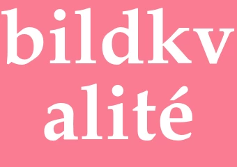 Synonym bildkvalité