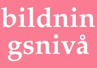 Synonym bildningsnivå