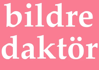 Synonym bildredaktör