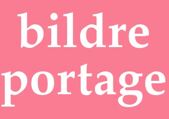 Synonym bildreportage