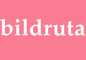 Synonym bildruta