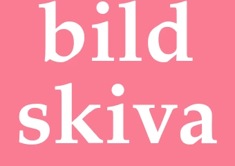 Synonym bildskiva