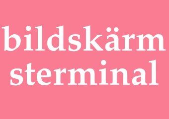 Synonym bildskärmsterminal
