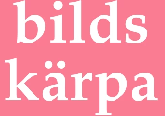 Synonym bildskärpa