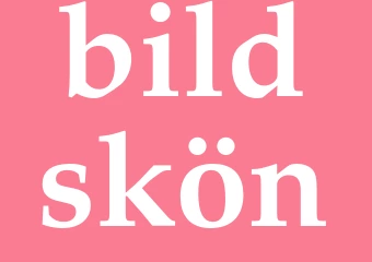 Synonym bildskön