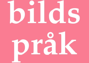 Synonym bildspråk