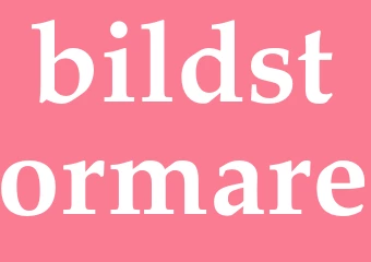 Synonym bildstormare
