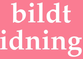 Synonym bildtidning