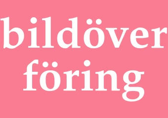 Synonym bildöverföring