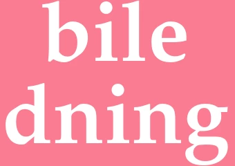 Synonym biledning
