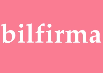 Synonym bilfirma