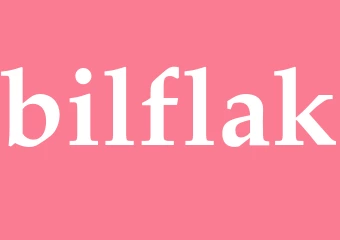 Synonym bilflak