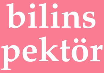 Synonym bilinspektör
