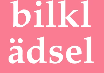 Synonym bilklädsel