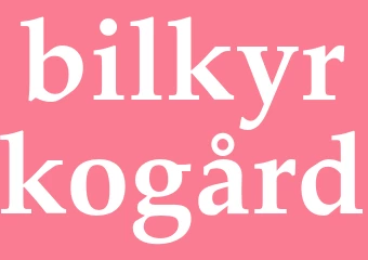Synonym bilkyrkogård