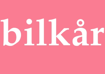 Synonym bilkår