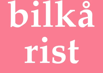 Synonym bilkårist