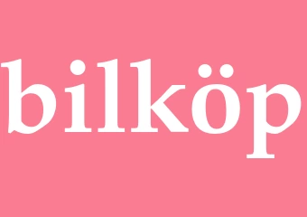 Synonym bilköp