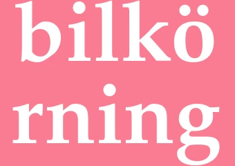 Synonym bilkörning