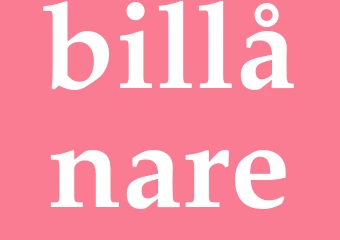 Synonym billånare
