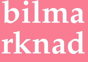 Synonym bilmarknad