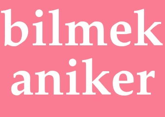 Synonym bilmekaniker