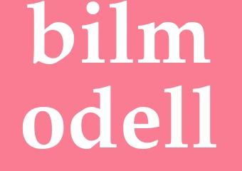 Synonym bilmodell