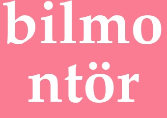 Synonym bilmontör