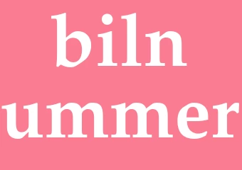Synonym bilnummer