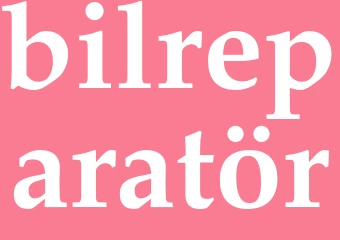 Synonym bilreparatör